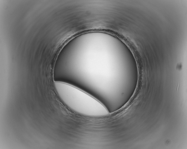 X0000094171265200710260901