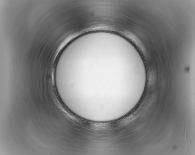 X0000094171274200710260901