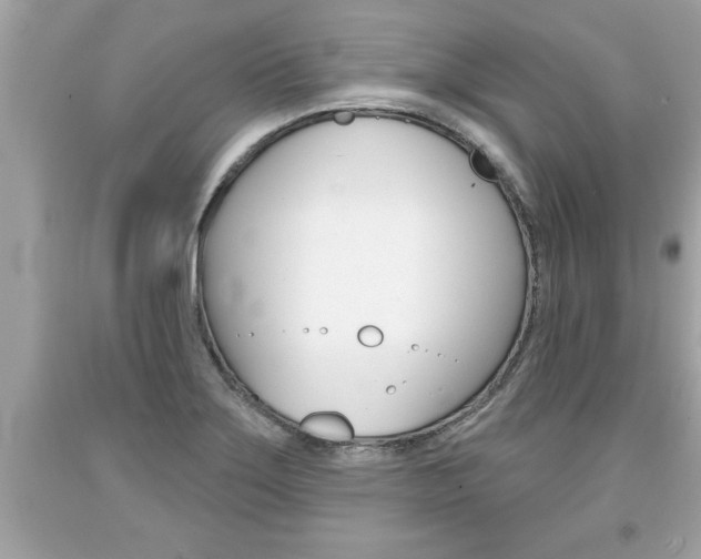X0000094171275200710260901