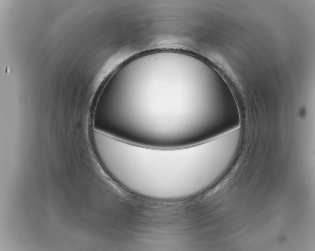 X0000094171277200710260901