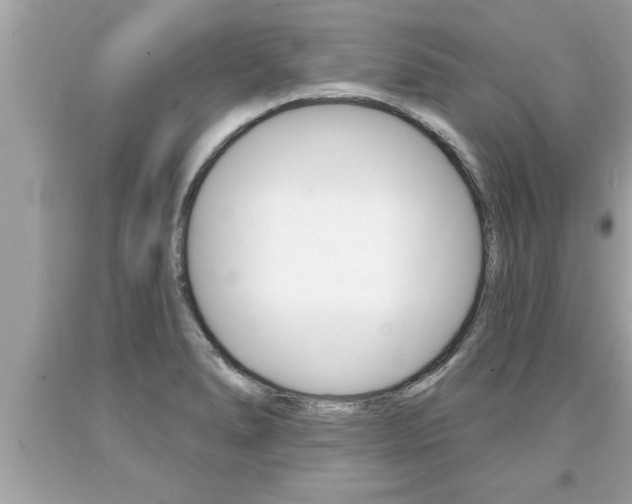 X0000094171278200710260901
