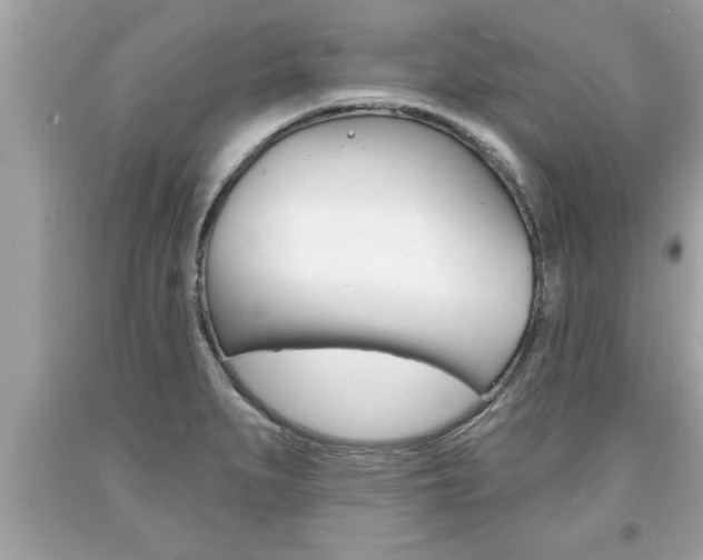 X0000094171279200710260901