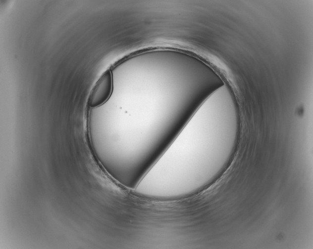 X0000094171280200710260901