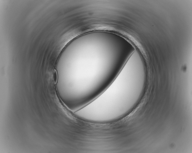 X0000094171281200710260901