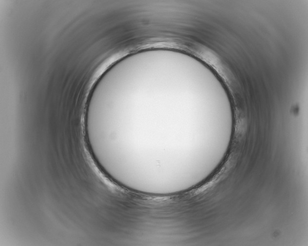 X0000094171282200710260901