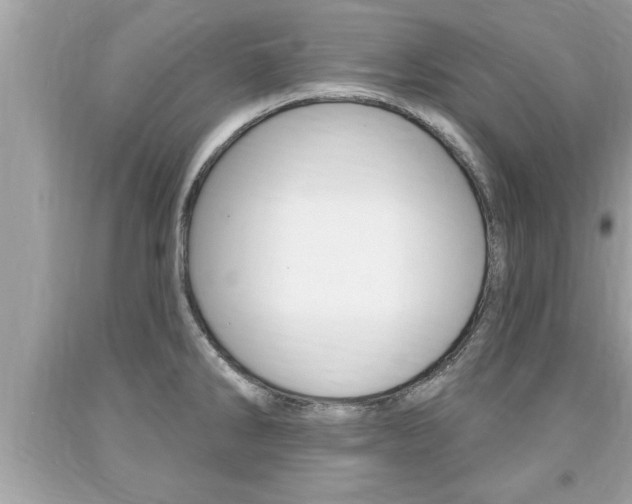 X0000094171286200710260901