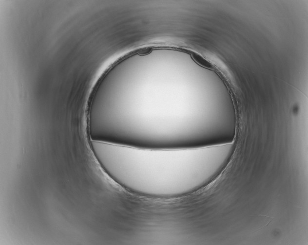 X0000094171288200710260901