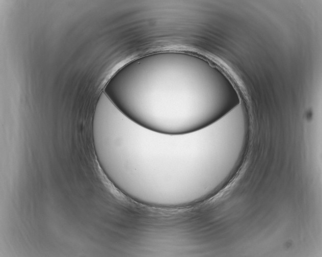 X0000094171289200710260901