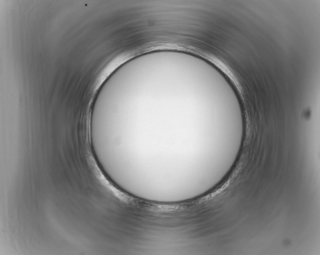 X0000094171290200710260900