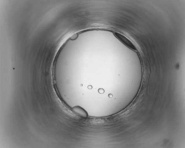 X0000094171291200710260900