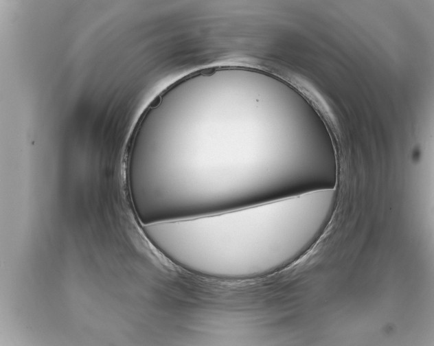 X0000094171292200710260900