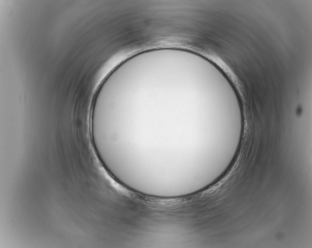 X0000094171294200710260900