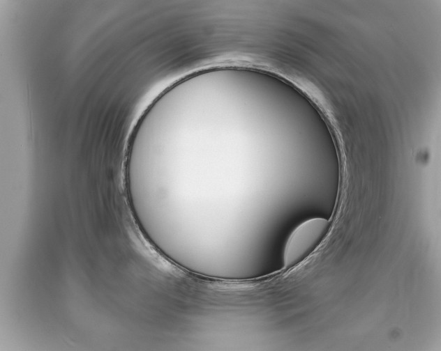 X0000094171296200710260900