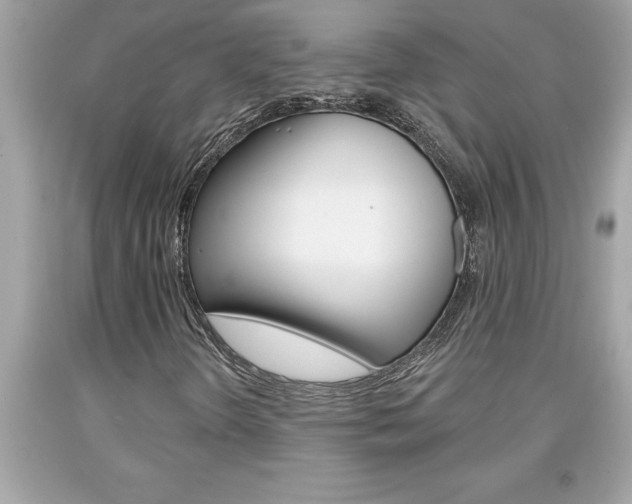 X0000094171298200710260900