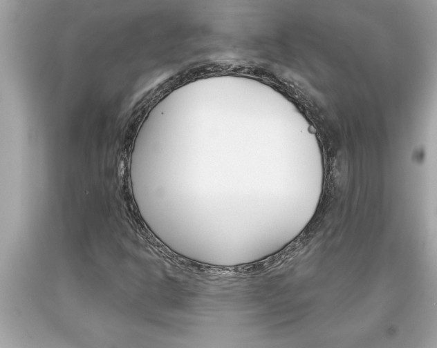 X0000094171302200710260900