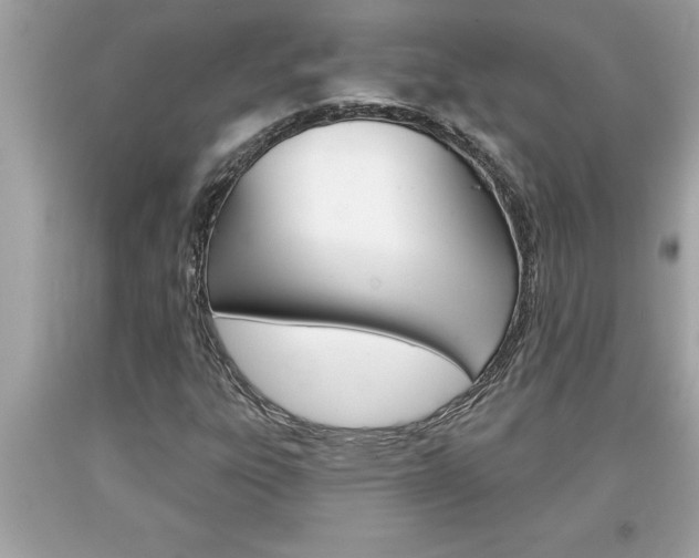 X0000094171303200710260900