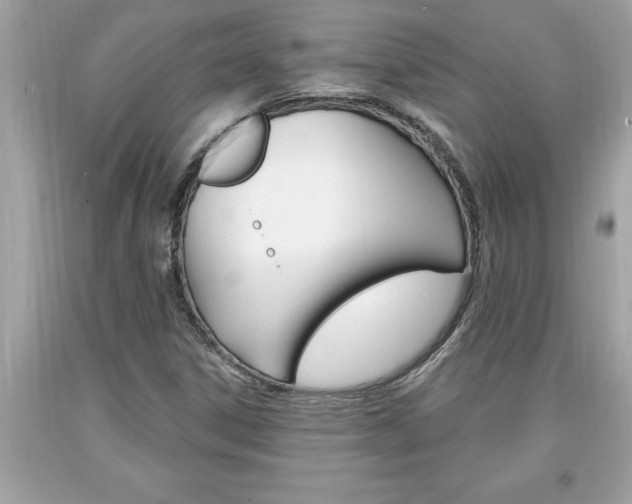 X0000094171306200710260900