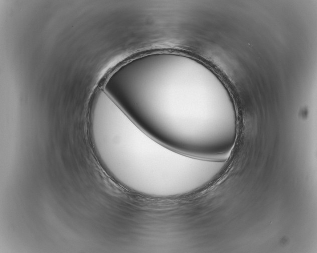 X0000094171308200710260900