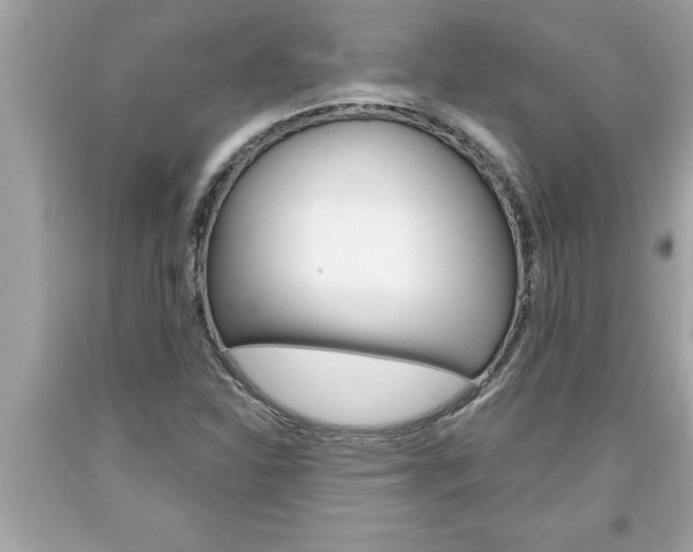X0000094171310200710260900