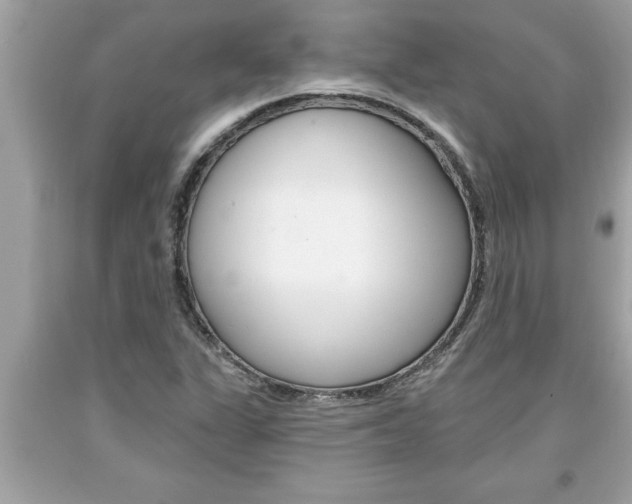 X0000094171311200710260900