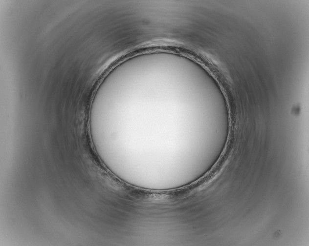 X0000094171313200710260900
