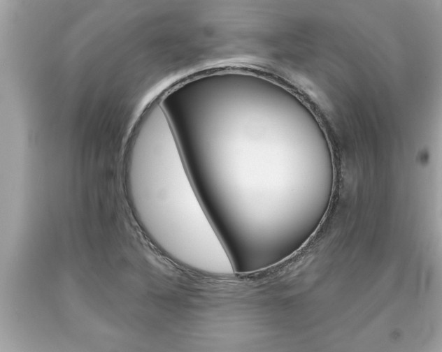 X0000094171316200710260900
