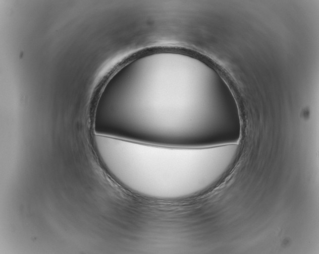 X0000094171319200710260900