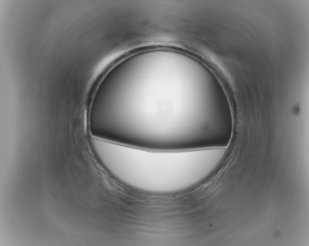 X0000094171320200710260900
