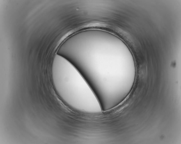 X0000094171321200710260900