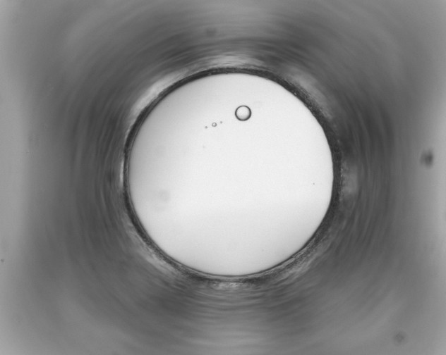 X0000094171322200710260900