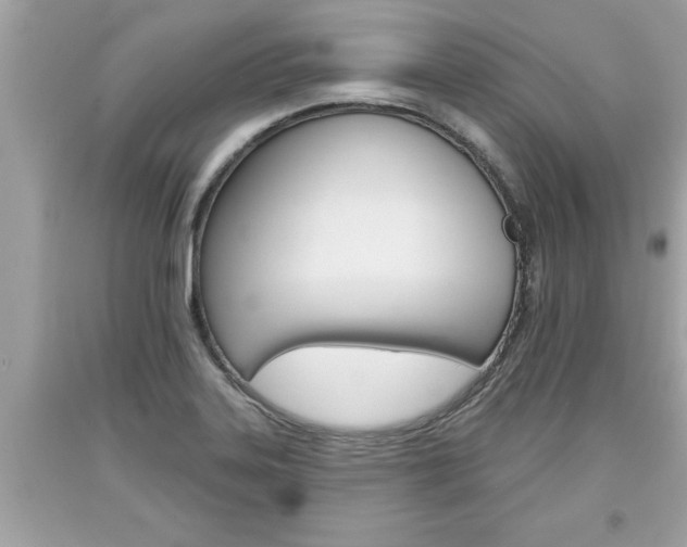X0000094171323200710260900