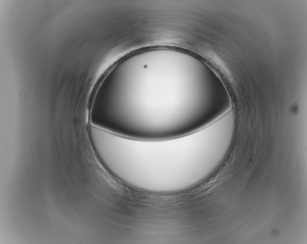 X0000094171324200710260900
