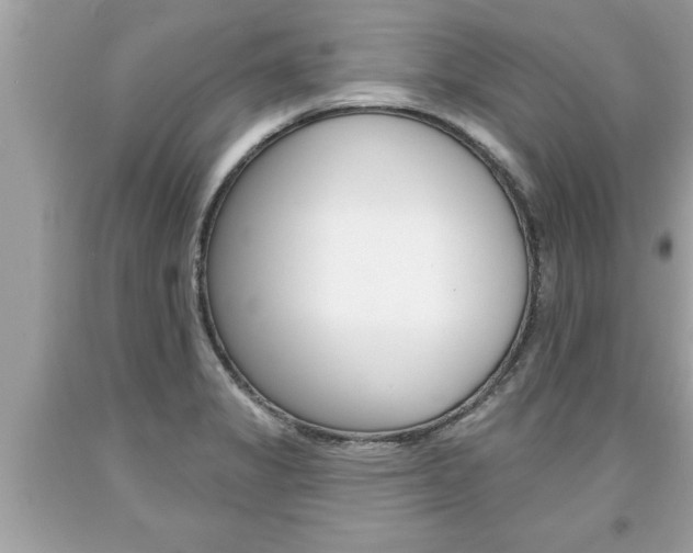X0000094171325200710260900