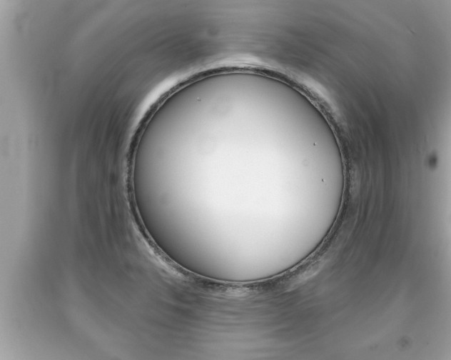 X0000094171326200710260900