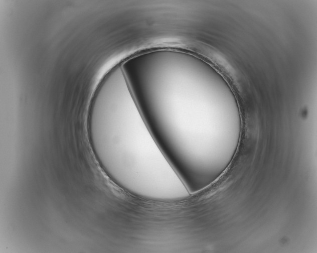 X0000094171328200710260900
