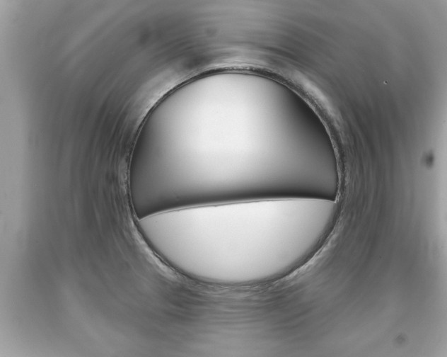 X0000094171329200710260900