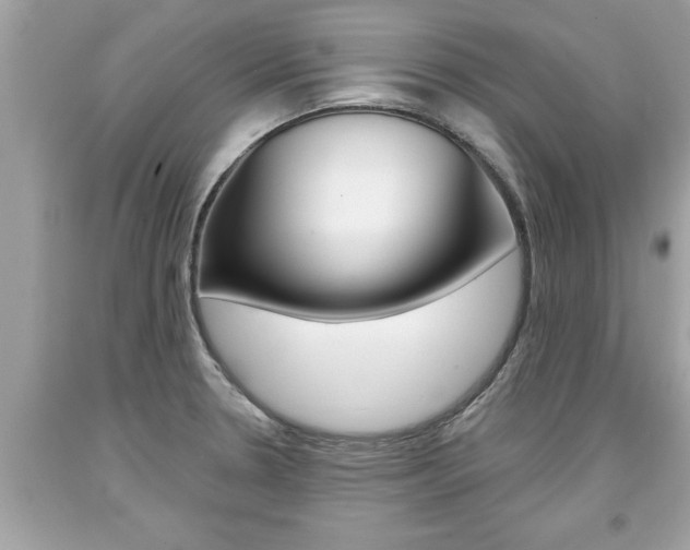X0000094171330200710260900