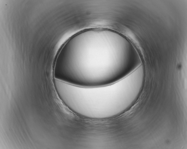 X0000094171336200710260900