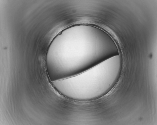 X0000094171337200710260900