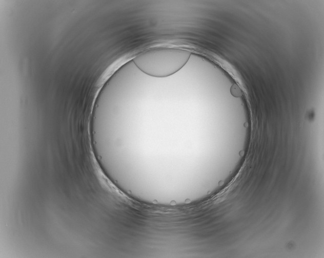 X0000094171338200710260900