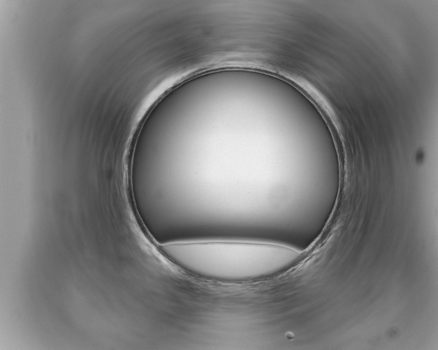 X0000094171341200710260900