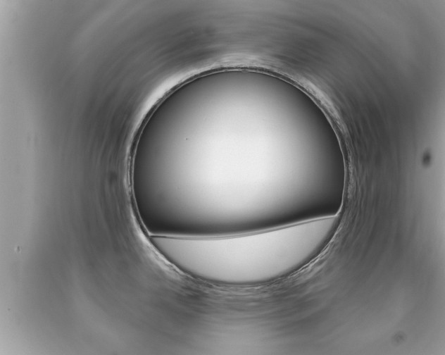 X0000094171342200710260900
