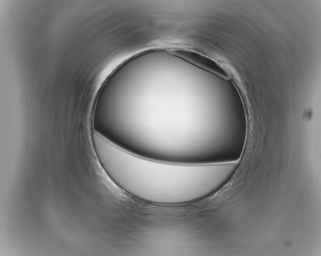 X0000094171344200710260900