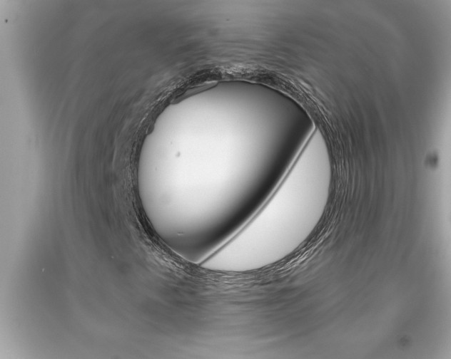 X0000094171345200710260900