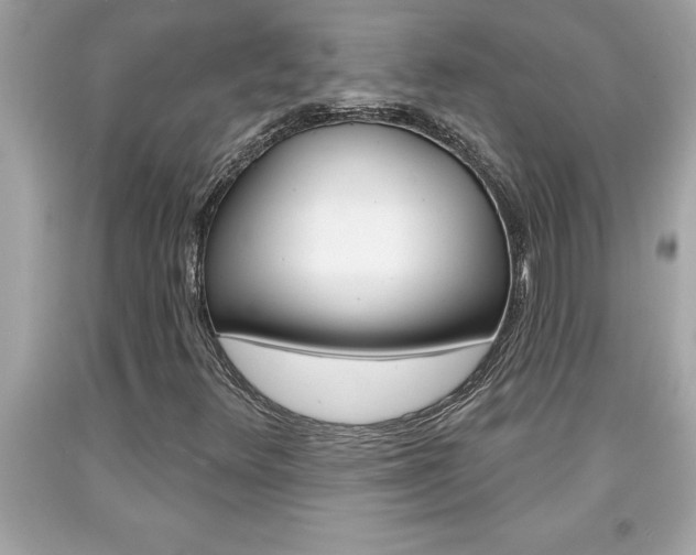 X0000094171348200710260900