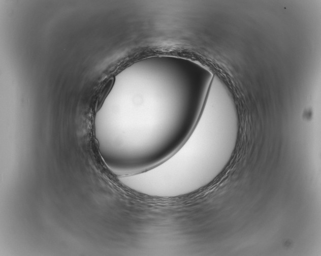X0000094171349200710260900