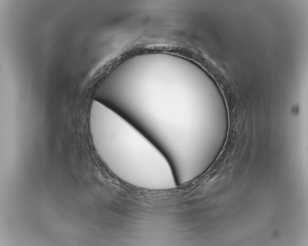 X0000094171351200710260900