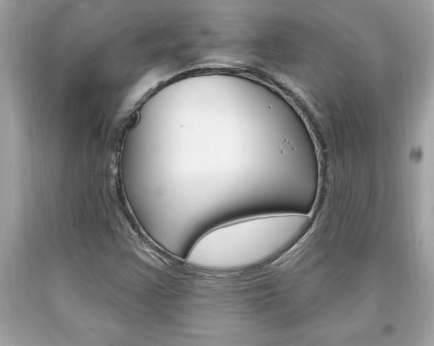 X0000094171355200710260900