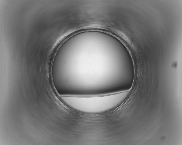 X0000094171356200710260900