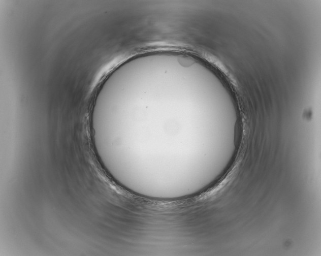 X0000094171357200710260900